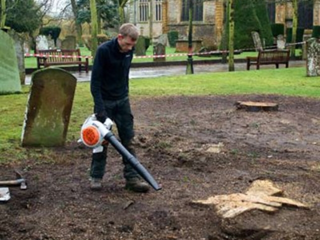 Stump Grinding