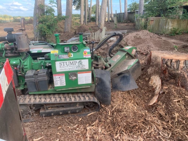 Tree Cutting