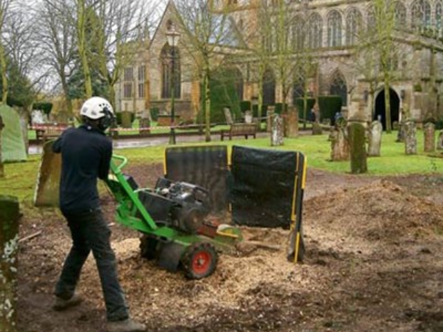 Stump Grinding