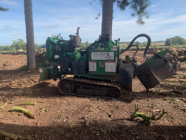 Tree Cutting