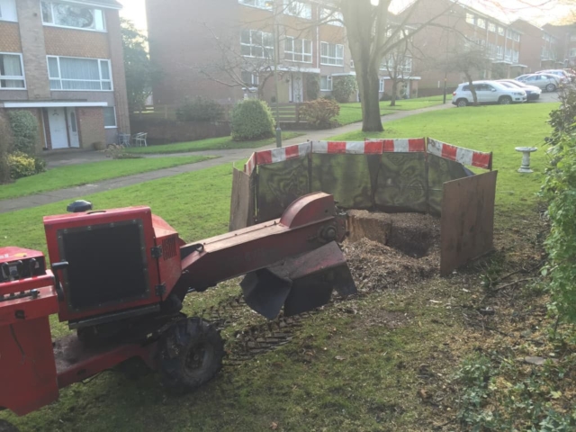 Stump Grinding