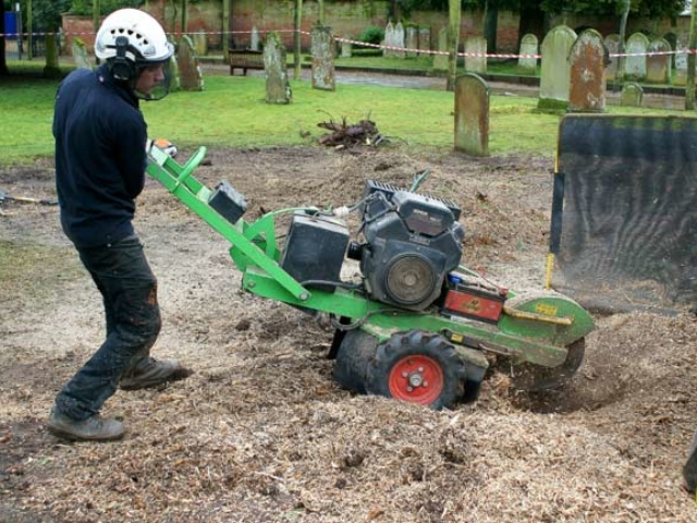 Stump Grinding