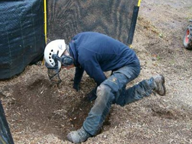 Stump Grinding