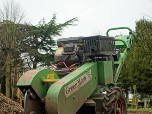 Stump Grinding