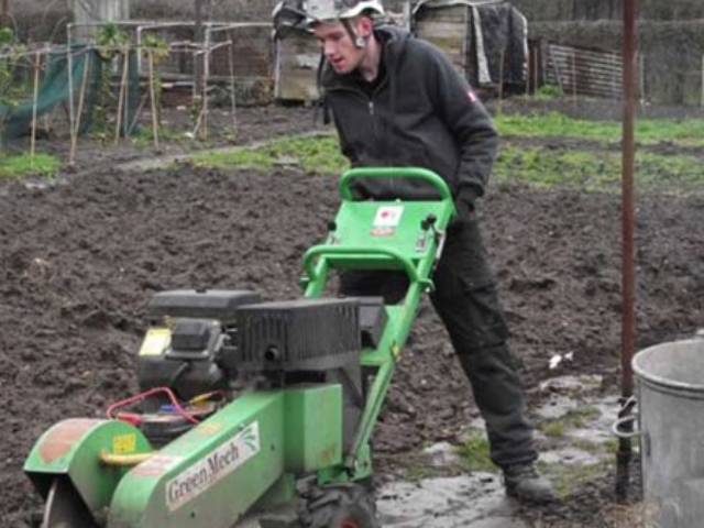 Stump Grinding