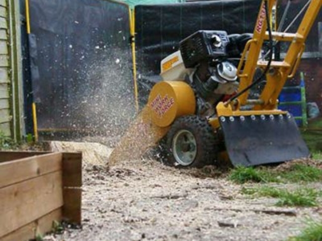 Stump Grinding